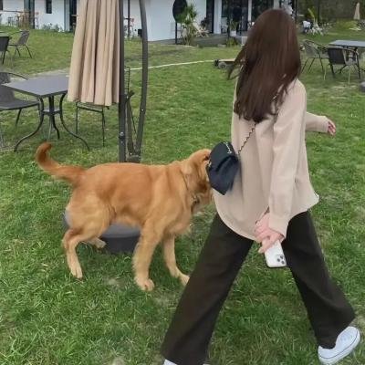 杀手悲歌