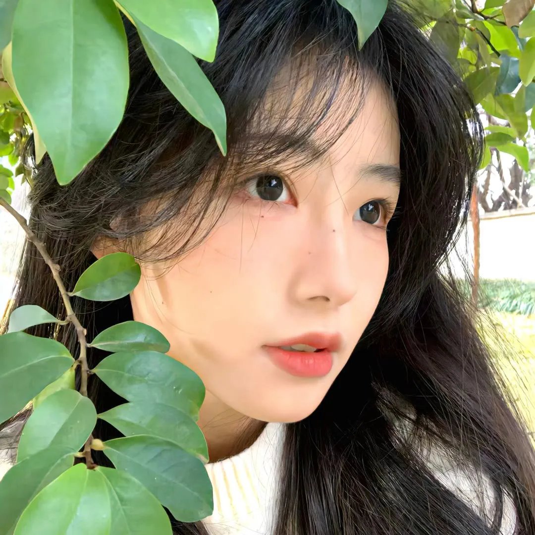 同根生
